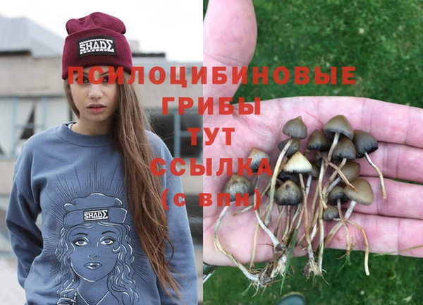 экстази Алексеевка