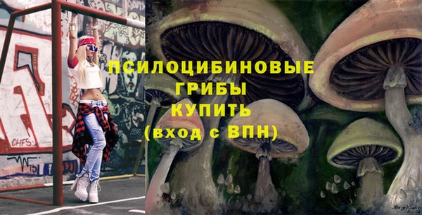 крисы Алзамай