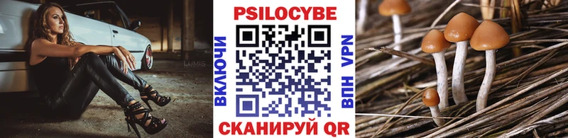 Псилоцибиновые грибы Psilocybe  купить наркоту  Боготол 